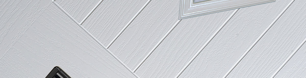 translucent panels for doors